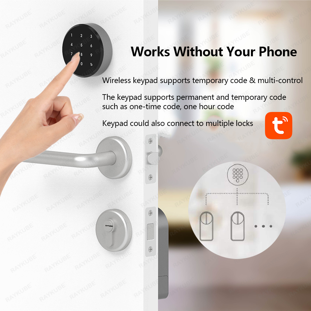 RAYKUBE A1 Pro Tuya BEL juego  - Smart Door Lock Wifi reseña y precio