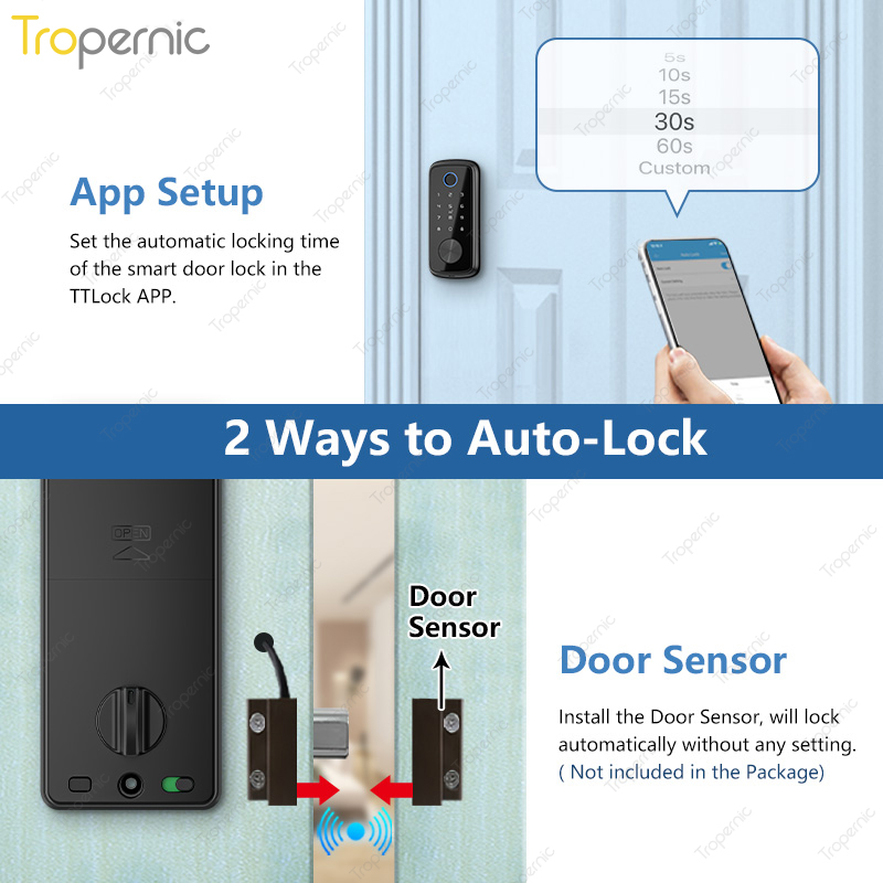 Tuya Zigbee-cerrojo de segurid - Smart Door Lock Wifi reseña y precio