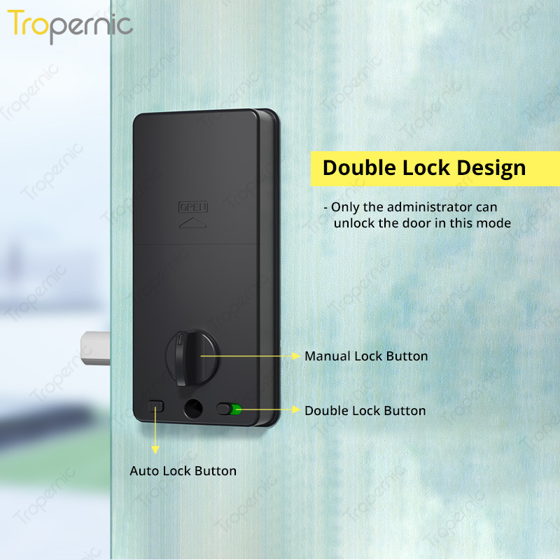 Tuya Zigbee-cerrojo de segurid - Smart Door Lock Wifi reseña y precio